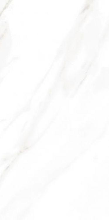 EC Calacatta Gold Matte 12 x 24